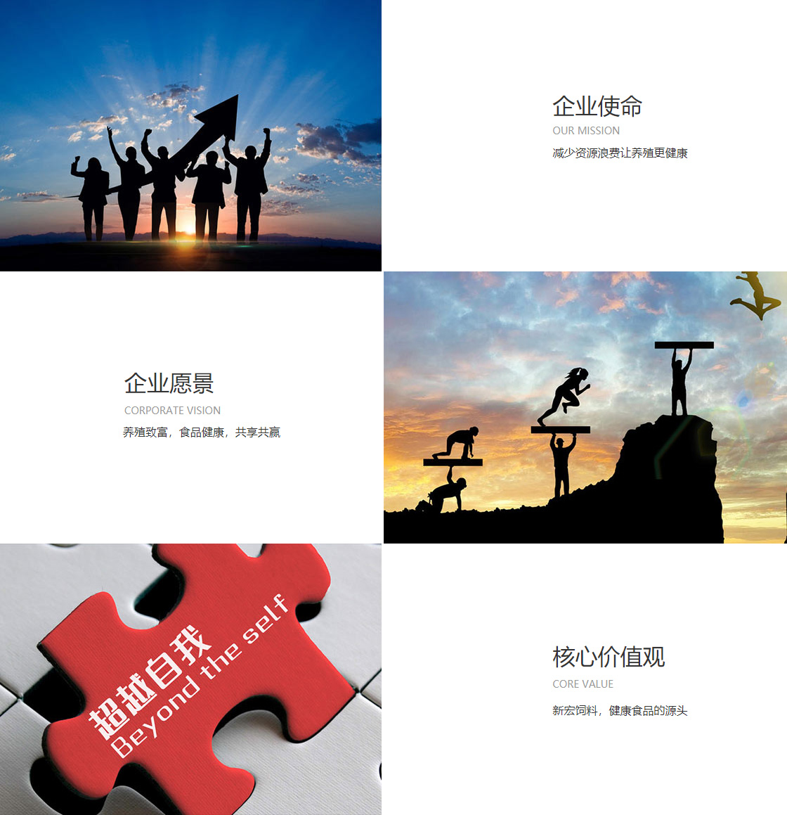 Z6尊龙官方网站官网入口(图1)